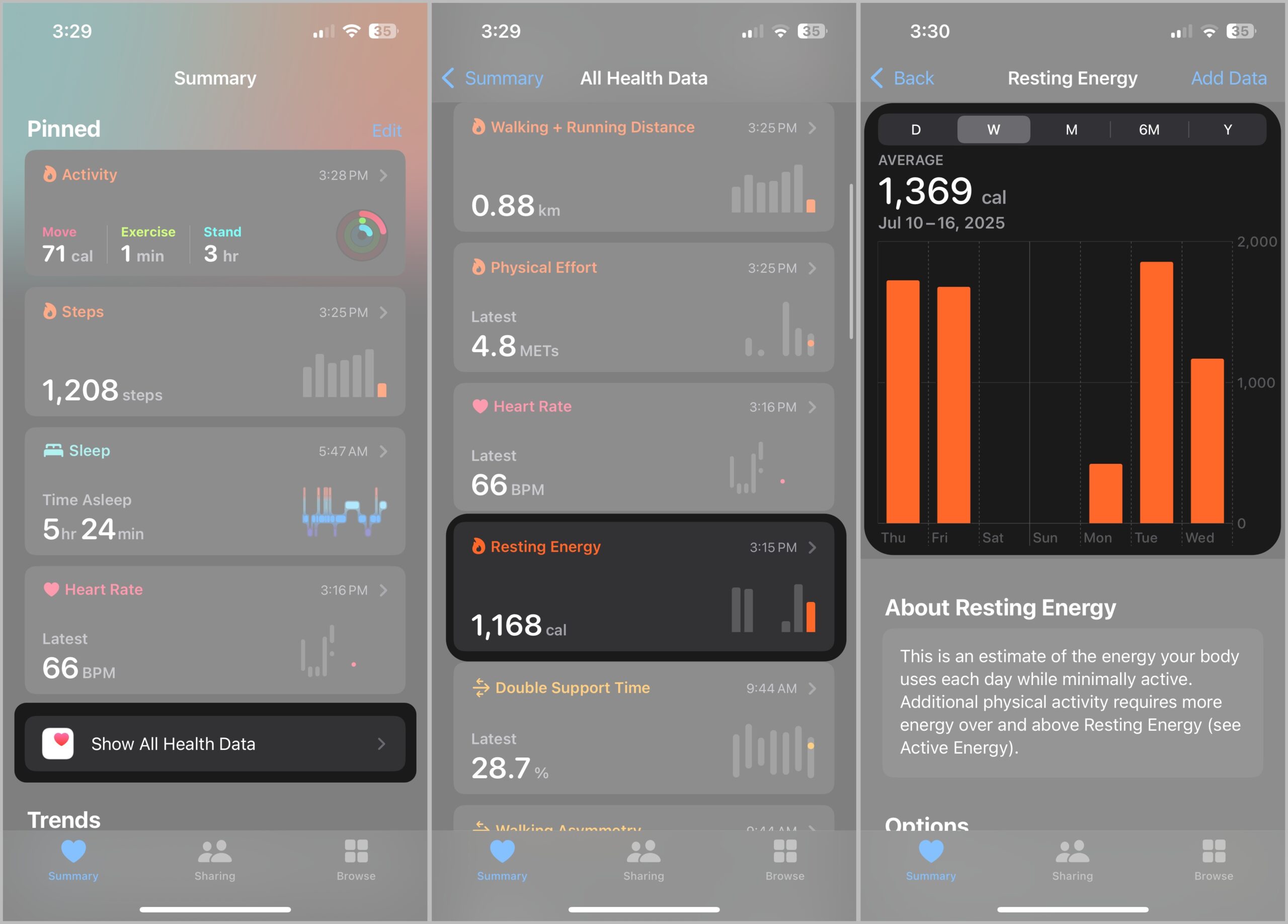 Active and Resting Energy