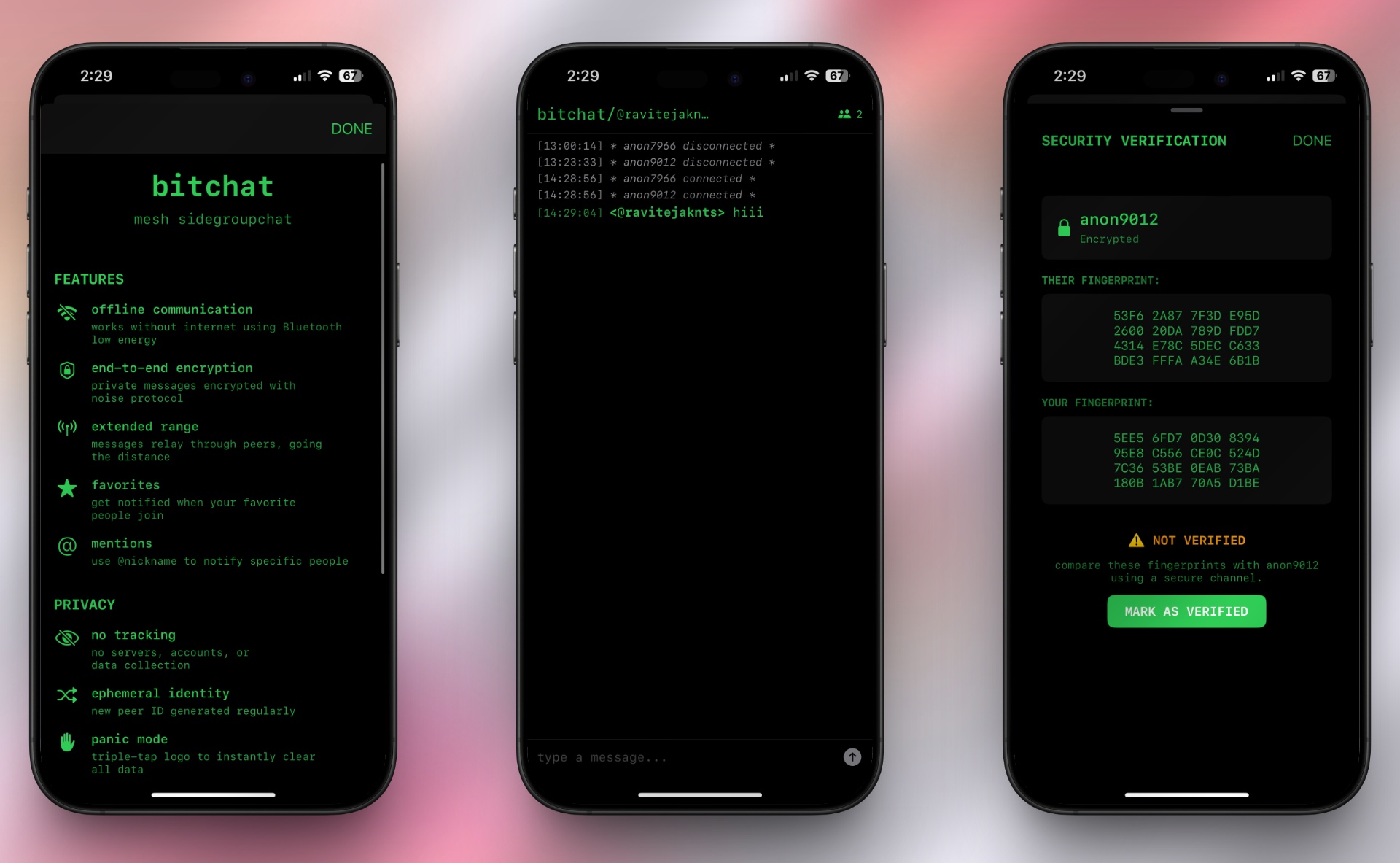 Bitchat app on iphone