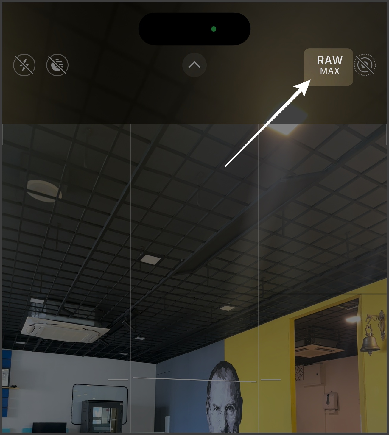 Raw option on iphone camera app