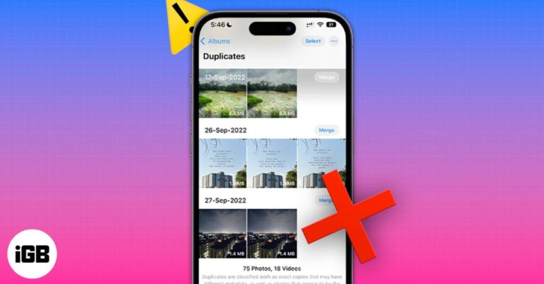 Delete Duplicate Photos on iPhone or iPad