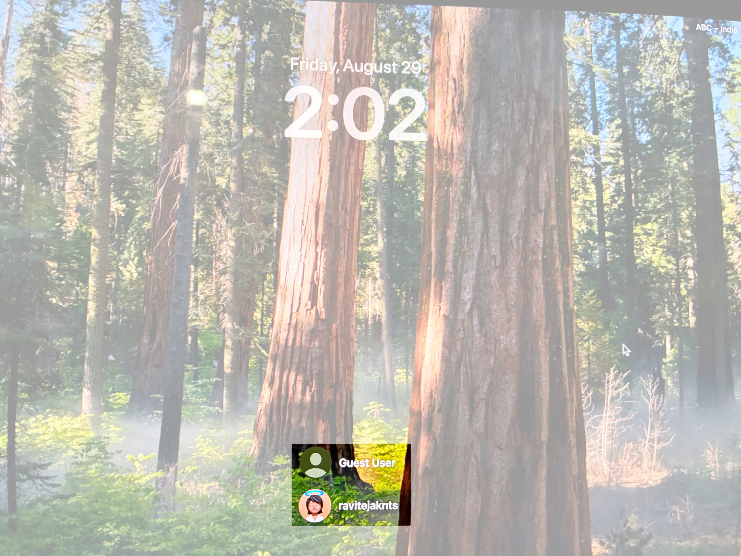 Get option to log in as a guest user