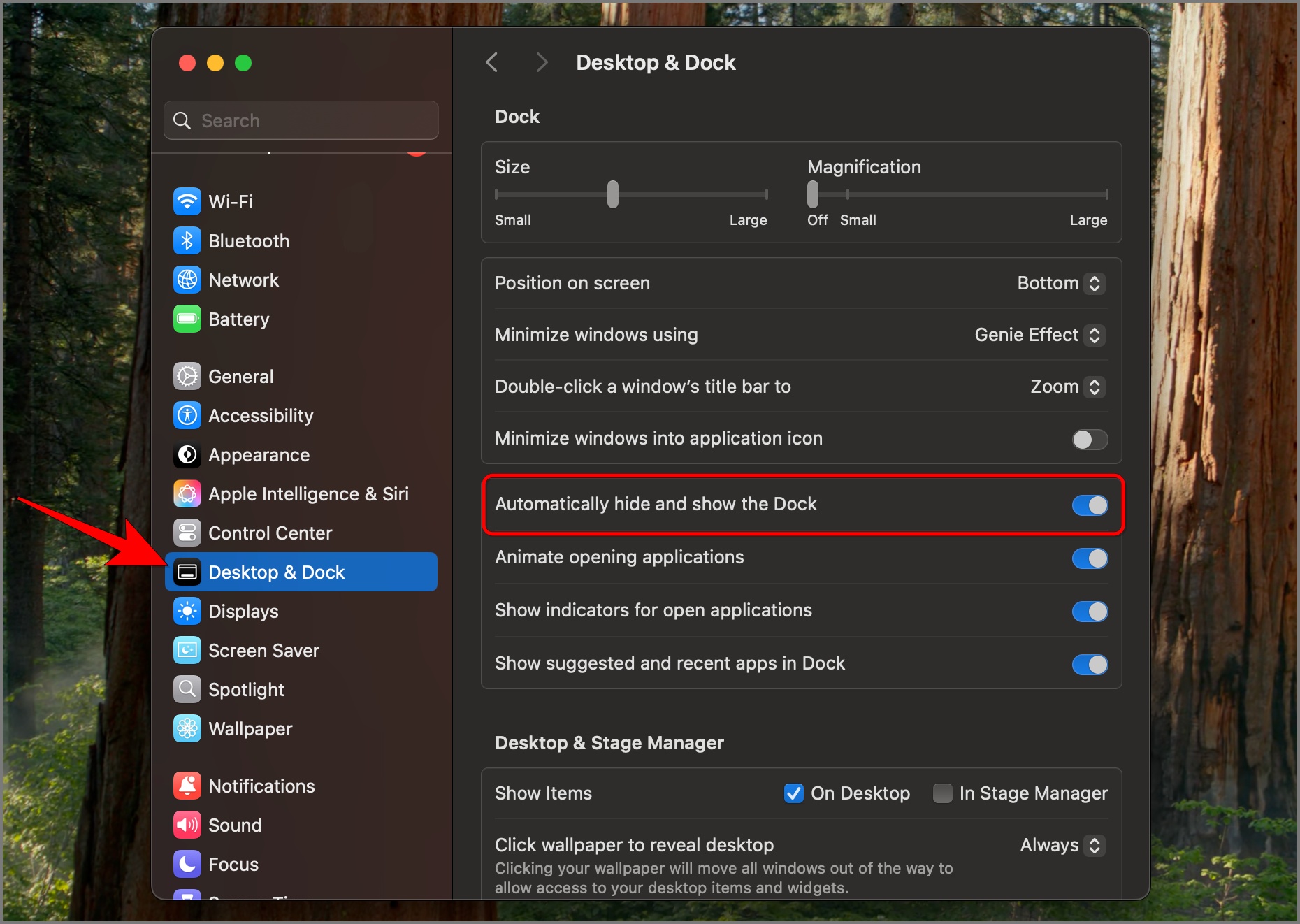 Automatically hide and show the dock in Settings