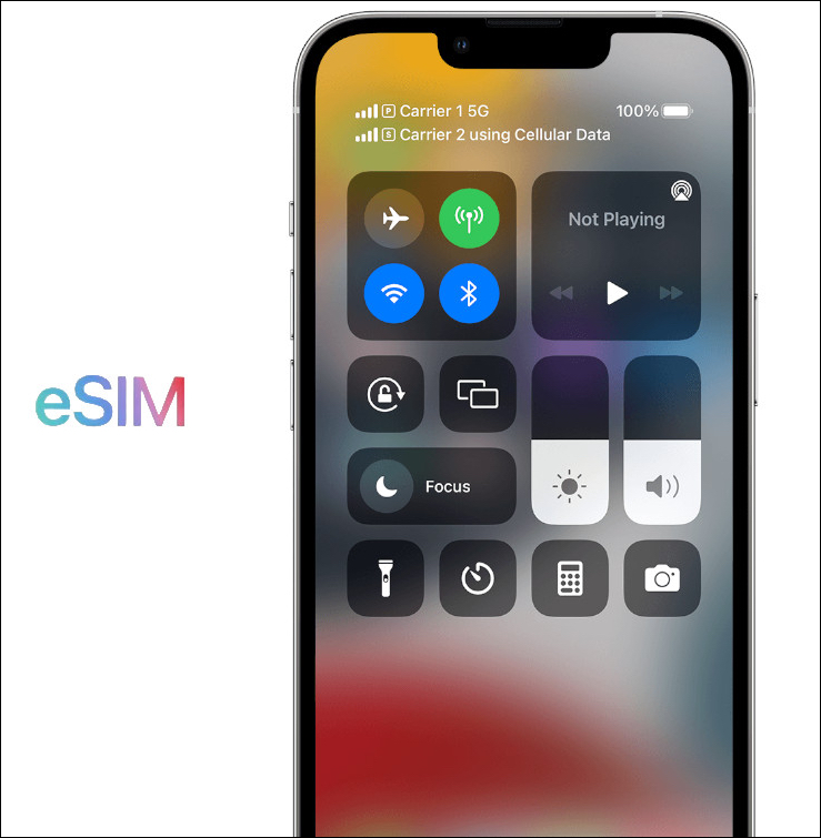 Iphone e sim