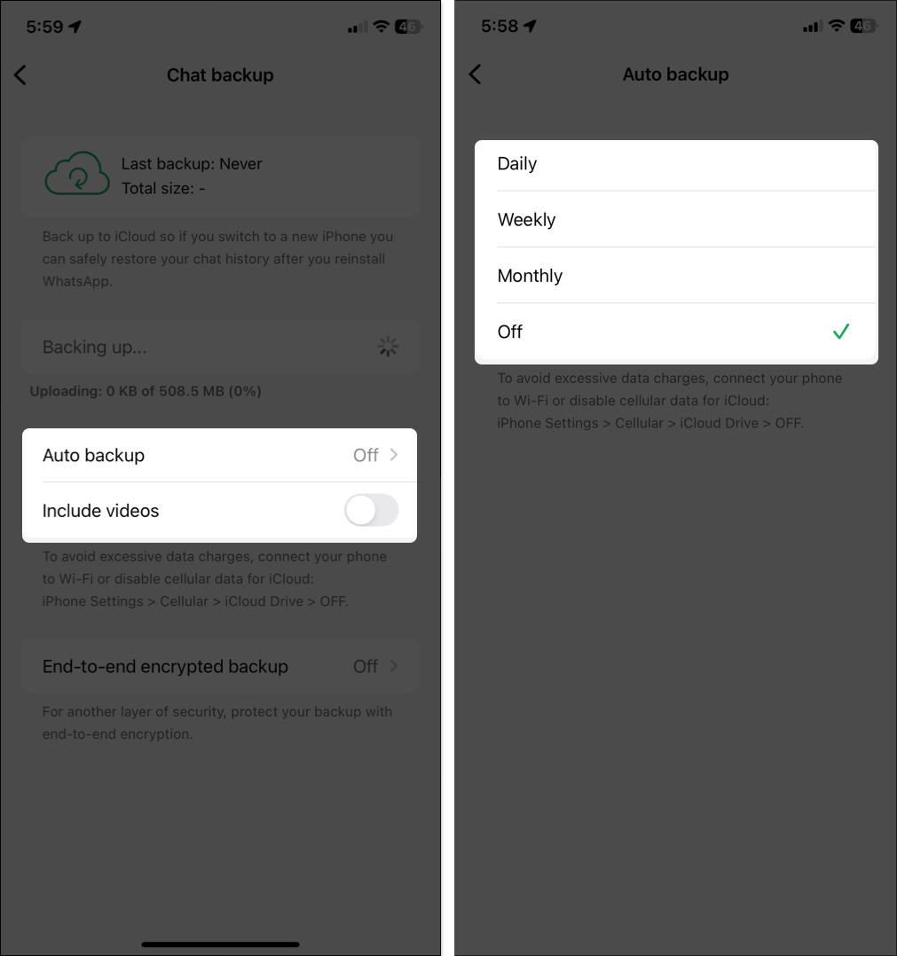 Toggle on include videos and choose auto backup frequency