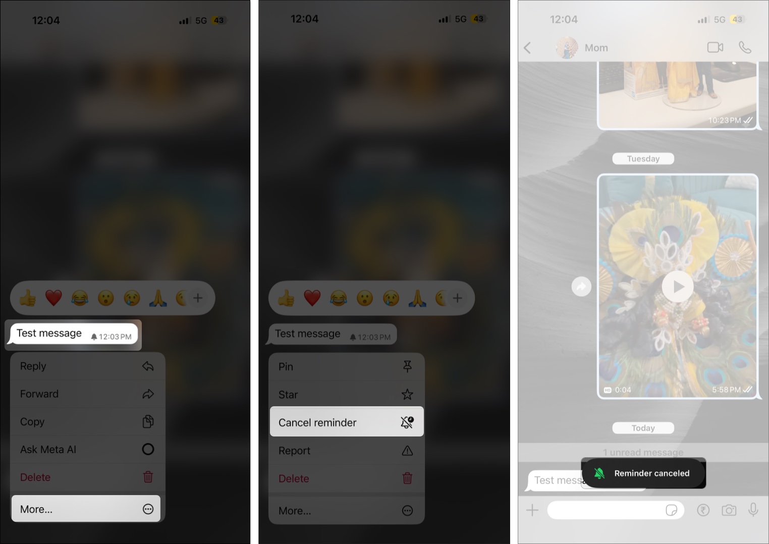 Cancel a message reminder on the whatsapp