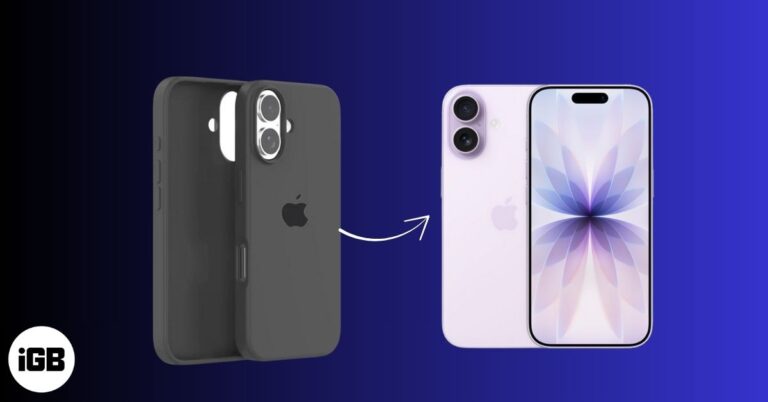 Will the iPhone 16 Case Fit the iPhone 17