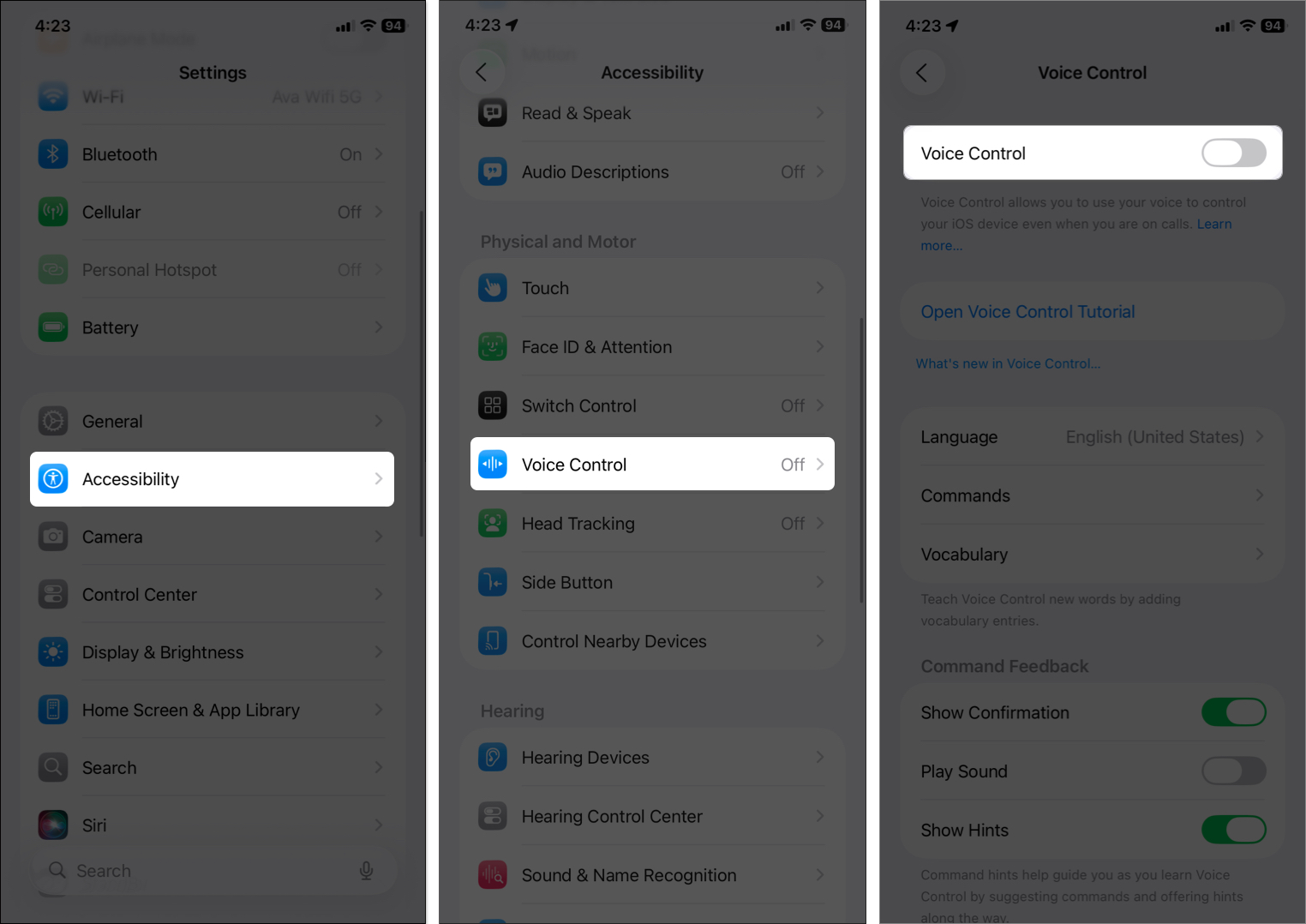 Disable voice control from iphone settings
