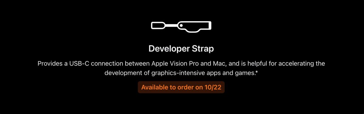 Developer strap vision pro