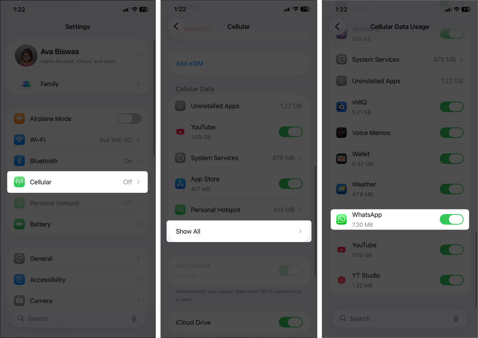 Select Cellular in settings tap Show All and toggle on WhatsApp