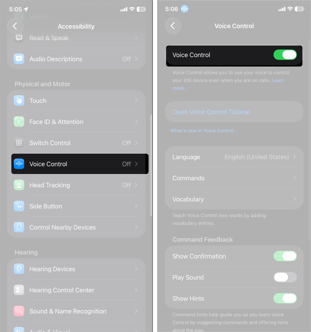 Select voice control and toggle it on