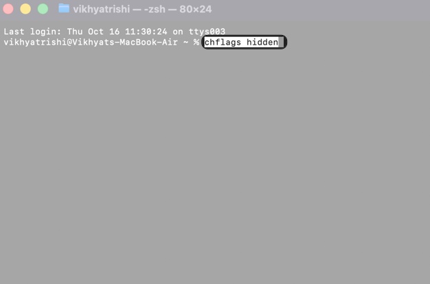 Type in chflags hidden