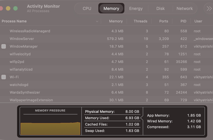 Check RAM Usage on a Mac Before Clearing It