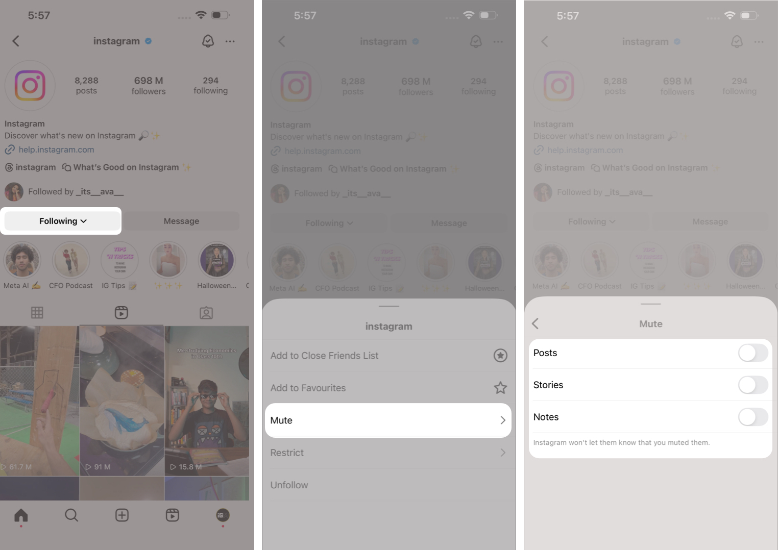 Open Instagram, Visit the Profile, Tap Following, Select Mute, and Toggle Your Preferences
