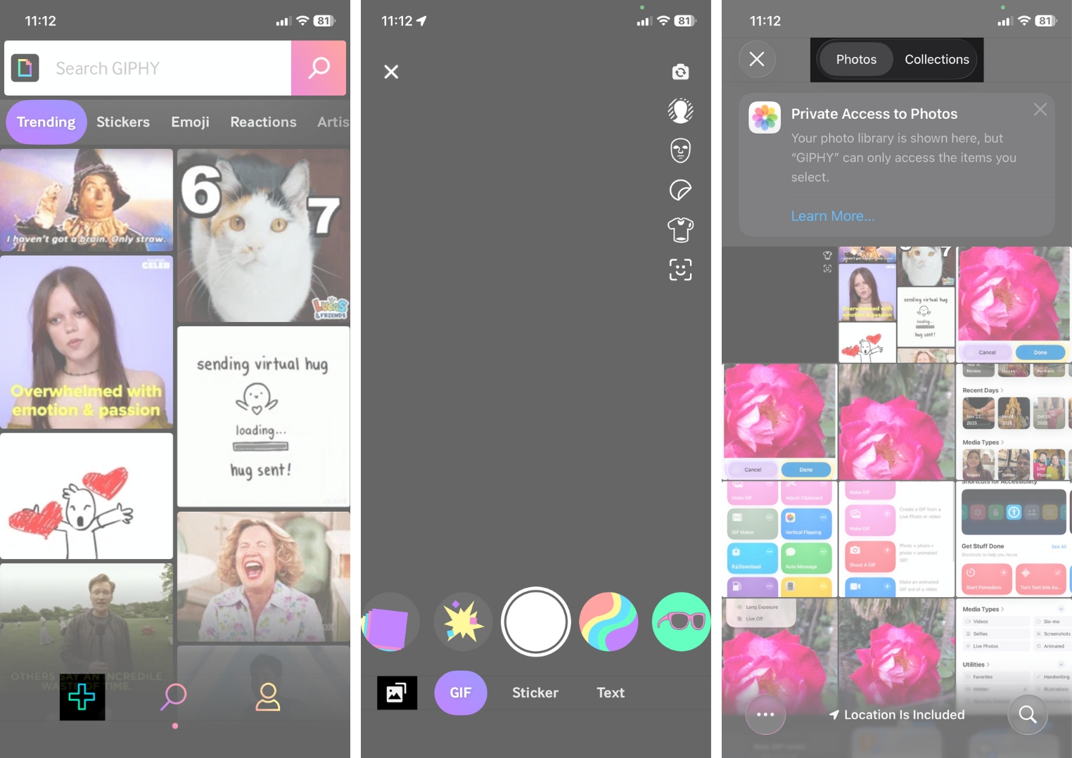 How to Turn an iPhone Live Photo Into a GIF in 3 Ways – iGeeksBlog Tap on Photo Icon and Go to Collections Live Photos
