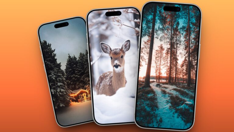 Winter iPhone Wallpapers