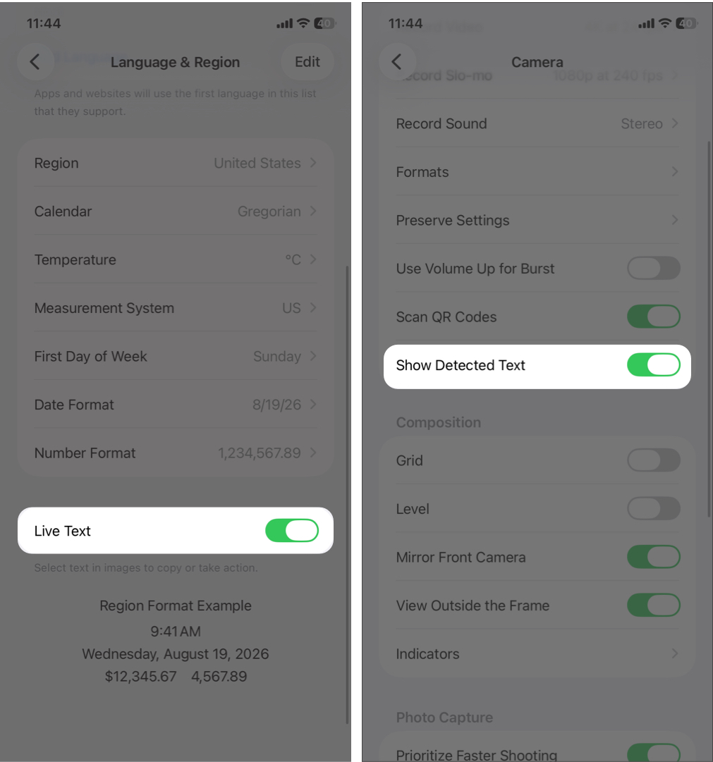 Ensure the Live Text toggle is on, and then toggle on Show Detected Text.