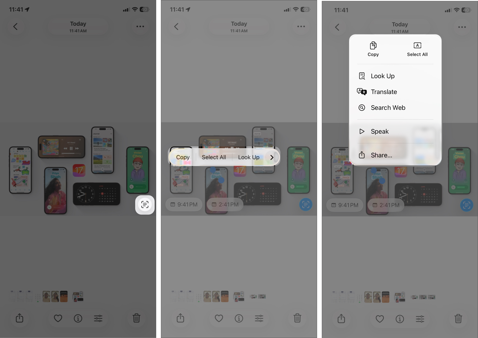 Tapping the Live Text Icon in the Bottom Right Corner of an Image in the ios Photos App