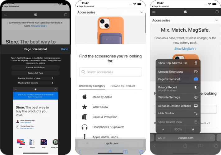 Page Screenshot for Safari