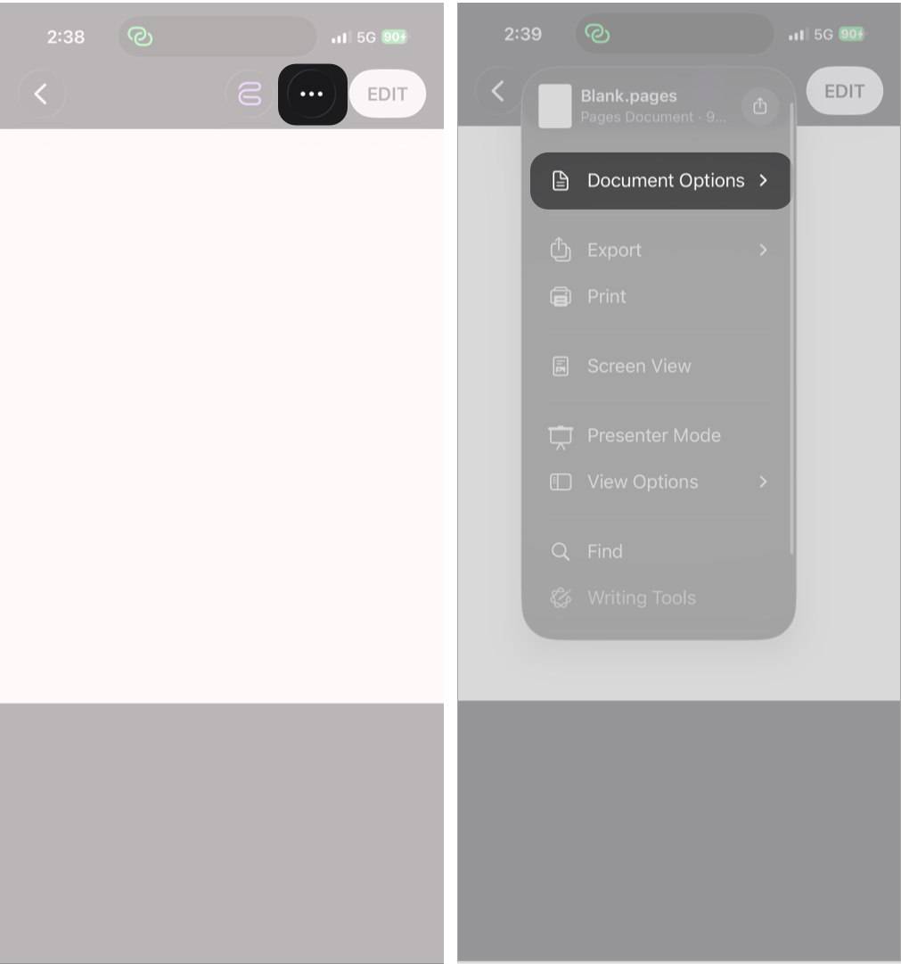 Accessing the Set Password option in Pages on iPhone.