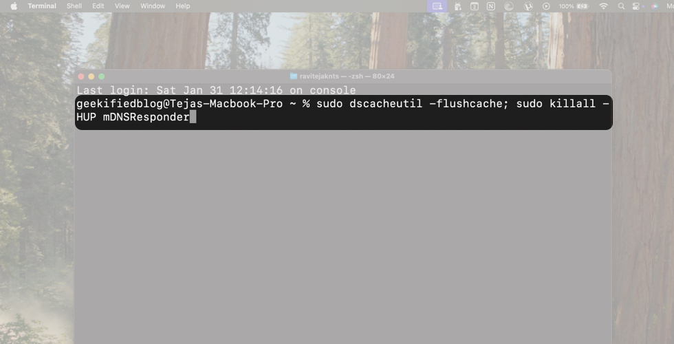 After Opening Terminal, Copy and Paste Command and Press Return
