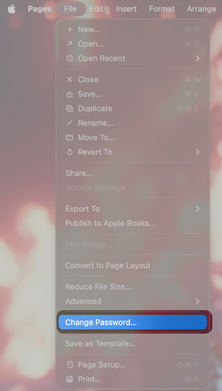 Click File Then Change Password.