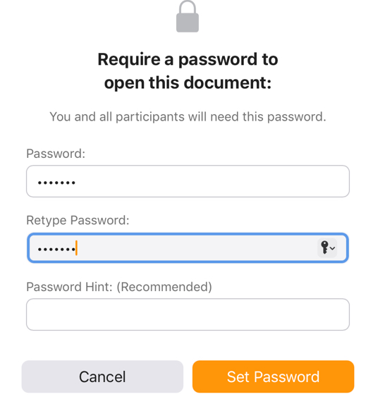 Click the Set Password Button to Complete the Process