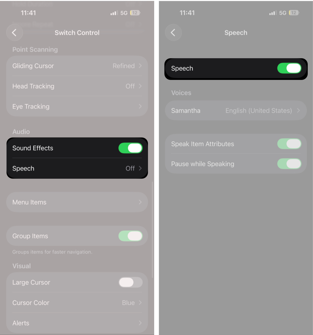 Enabling Sound Effects and Accessing Speech Settings on iPhone