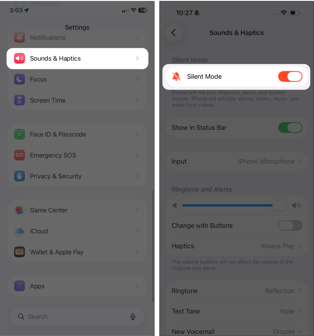 Mute Incoming Calls in iPhone