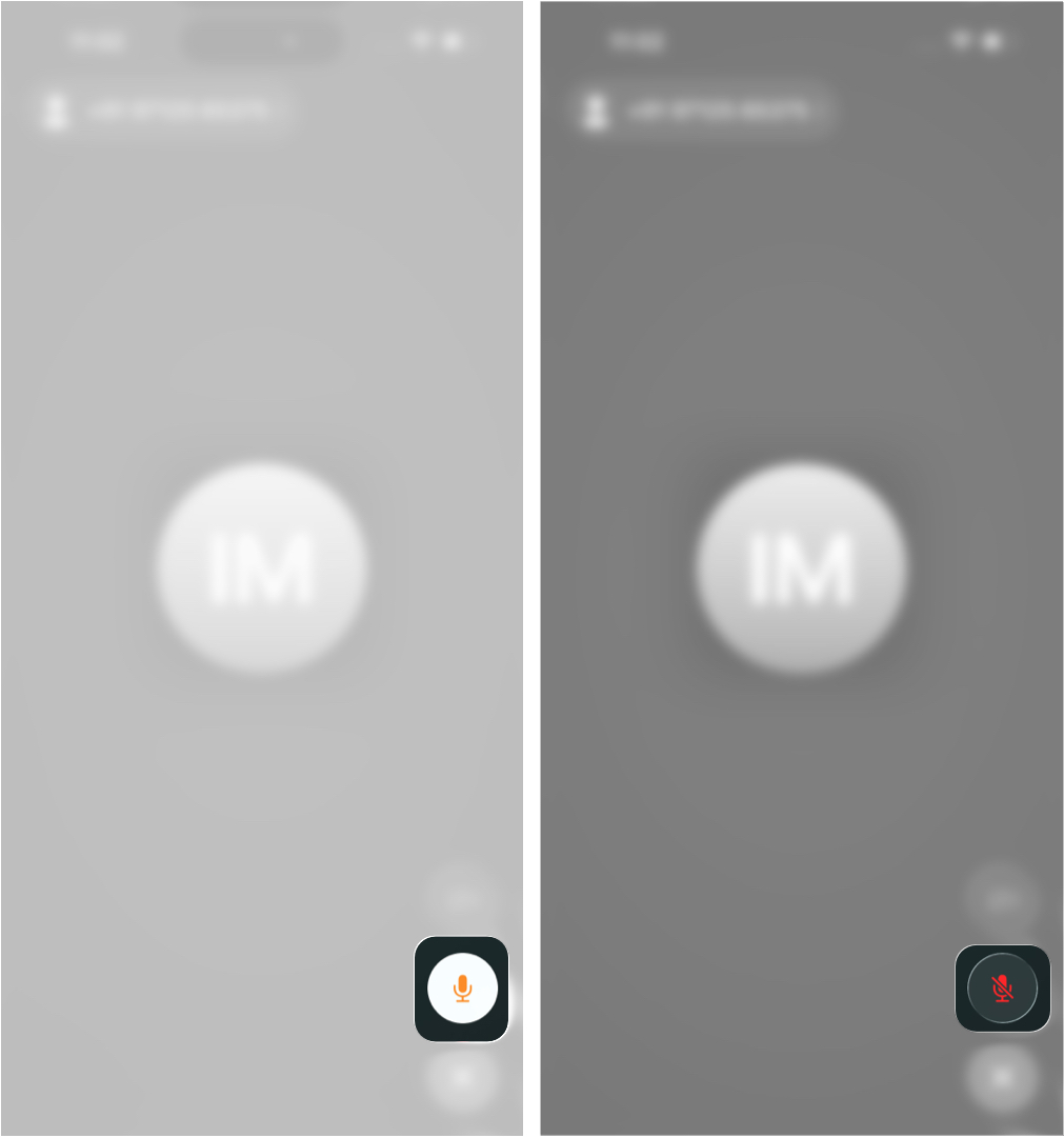Mute Yourself in iPhone