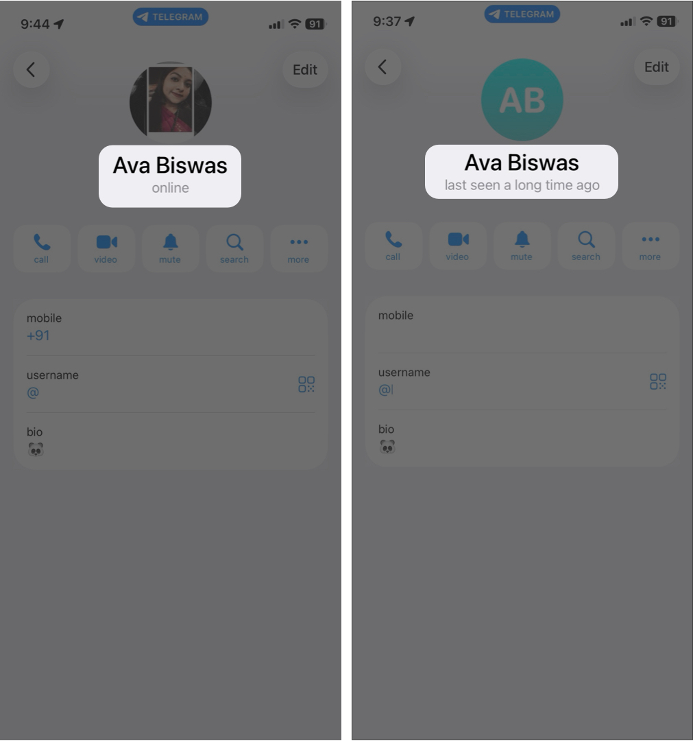 You Can’t See Their “Last Seen” or Online Status