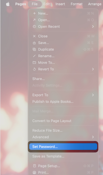 Select Set Password From The Drop-Down menu.