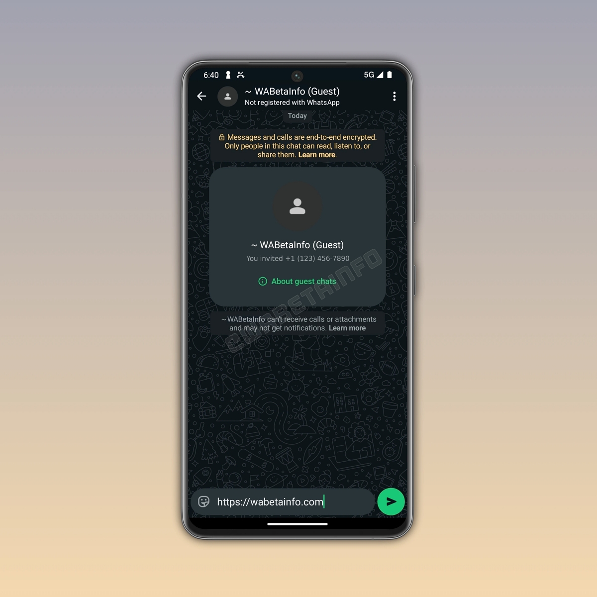 WhatsApp Tests Guest Chats