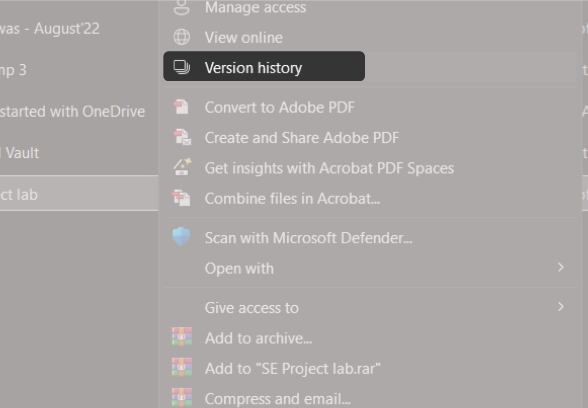 Click Version history