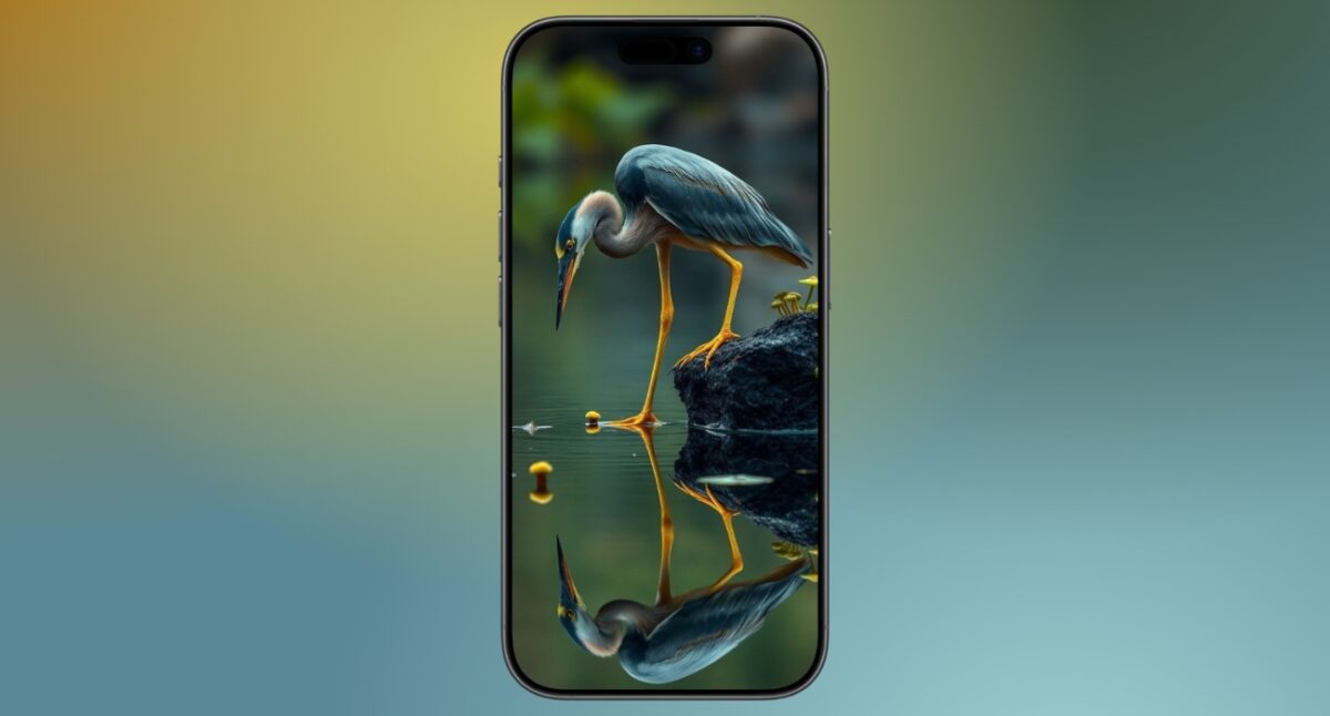 Heron reflection for a calm Mood