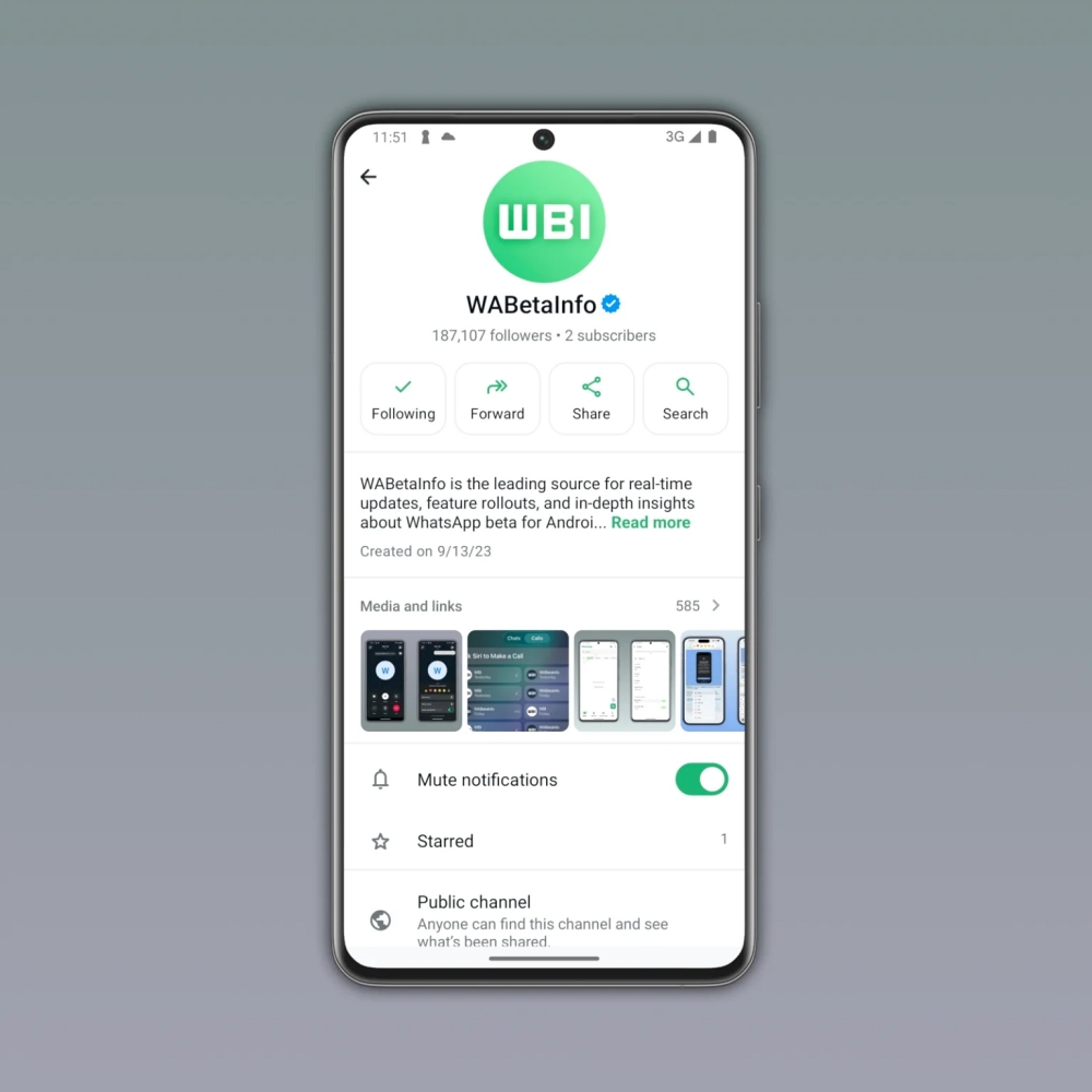WhatsApp channel subscriptions