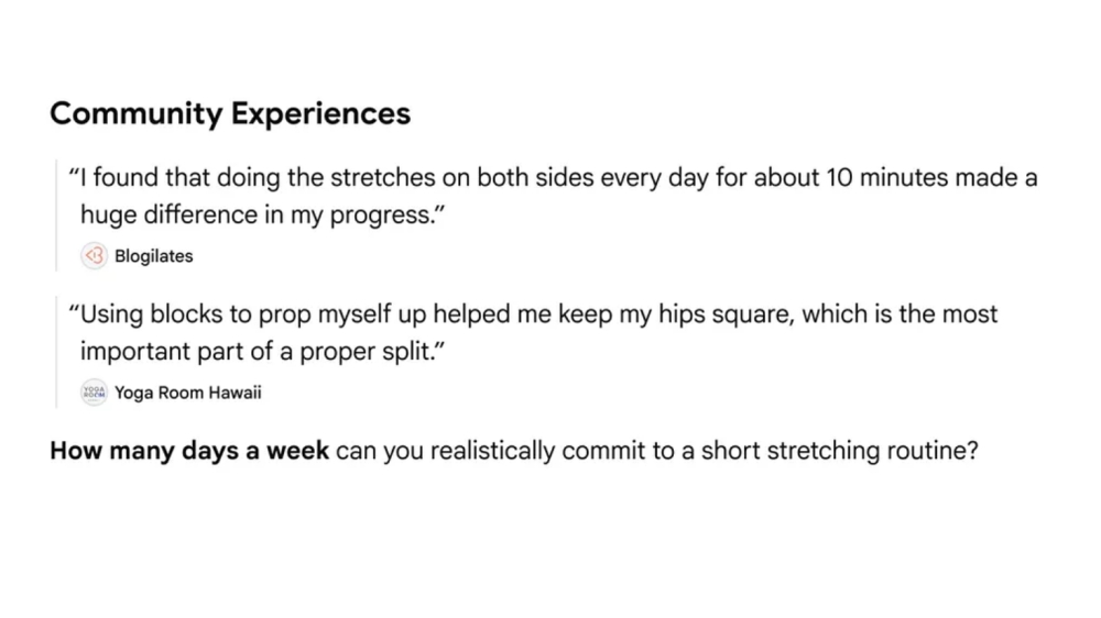Google Community Perspectives