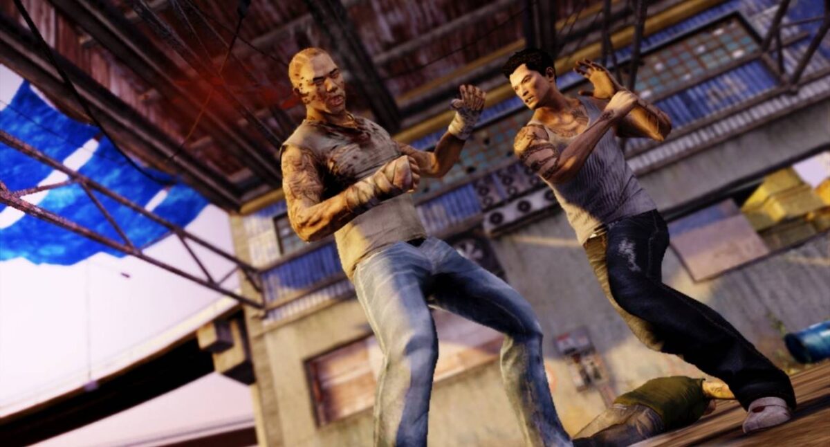 Wei Shen sleeping dogs