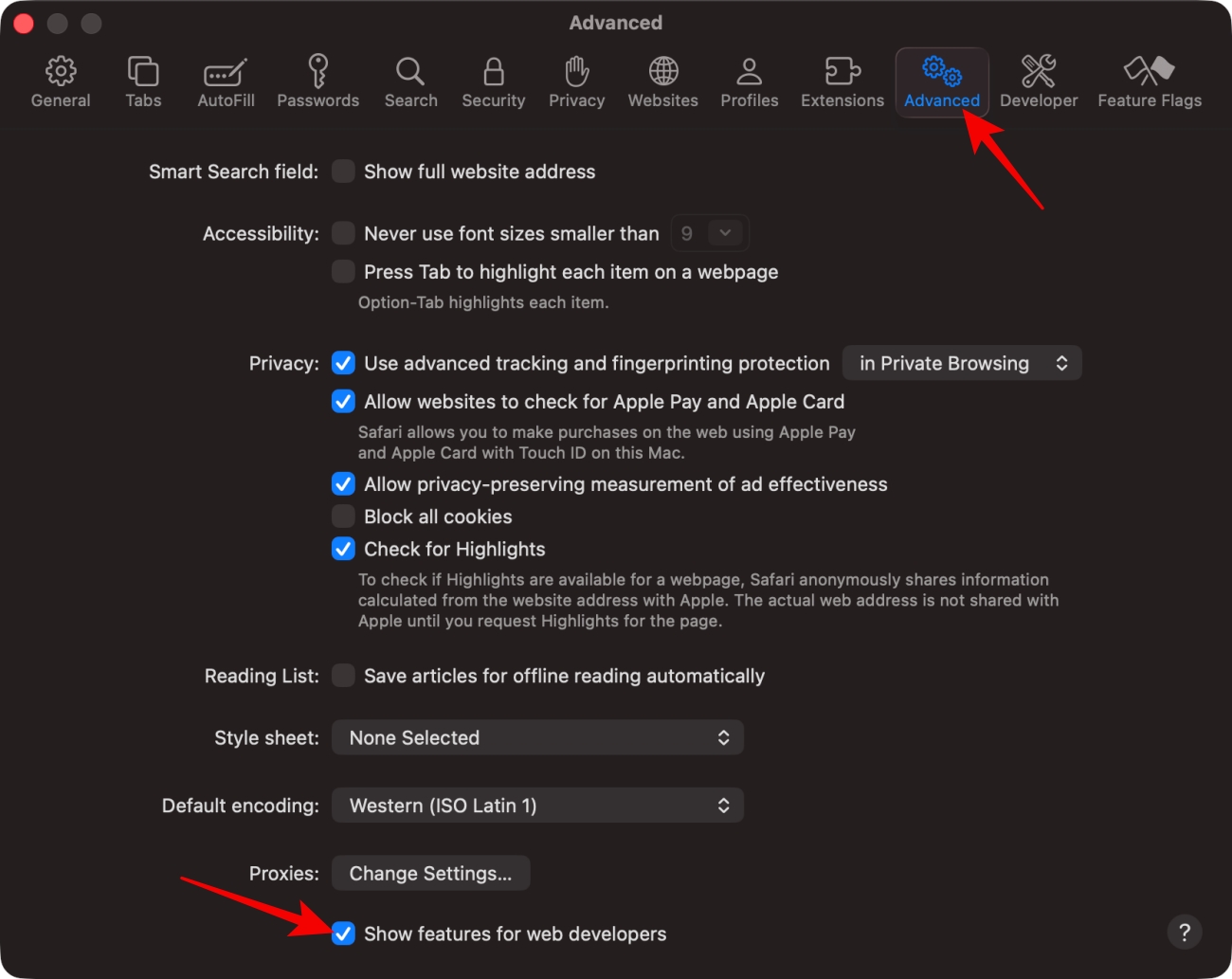 Advanced Safari settings with web developer features enabled