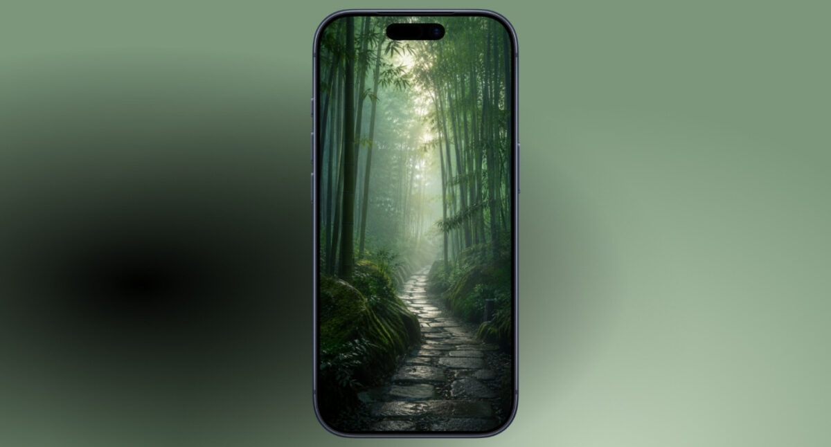 Bamboo dawn