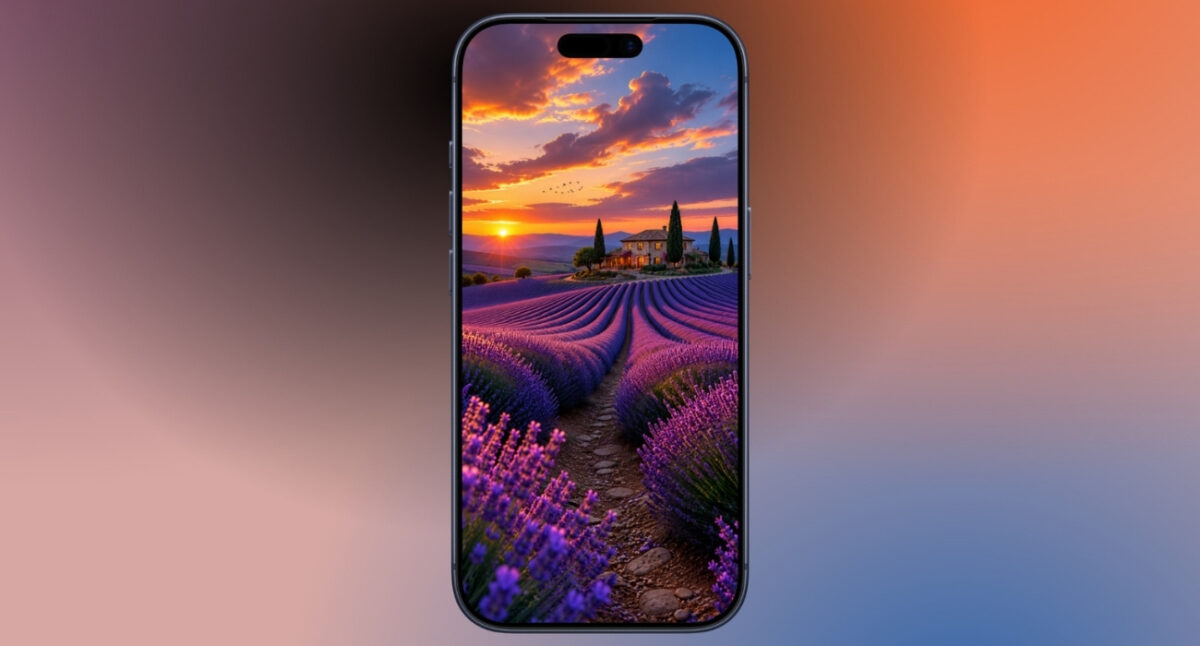 Lavender sunset farm