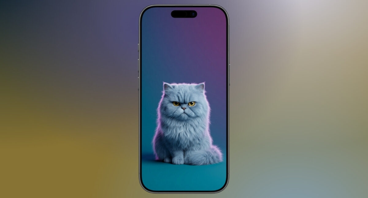 Moody Persian cat portrait