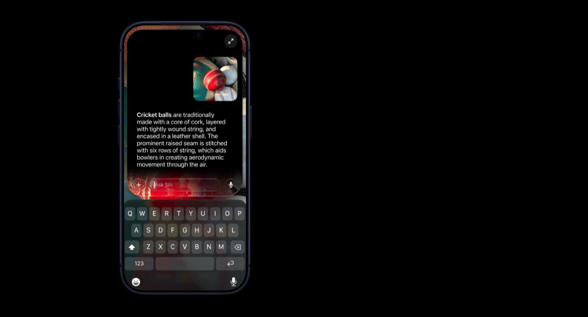 iPhone showing Siri mode in Camera identifying cricket balls