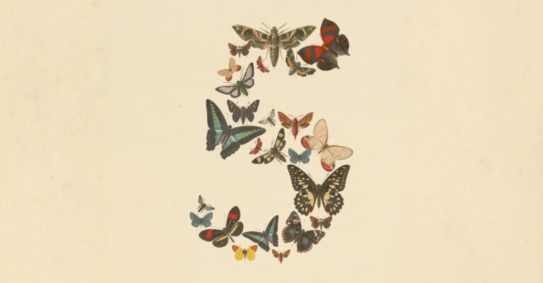 Butterfly illustration forming a question mark on a light background