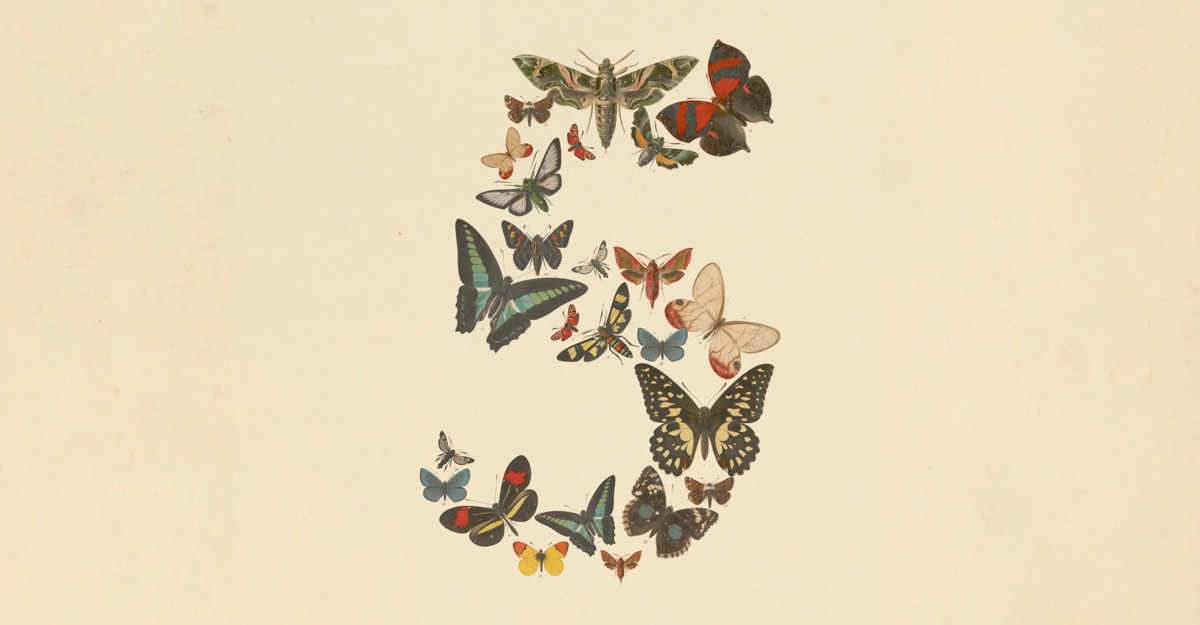 Butterfly illustration forming a question mark on a light background