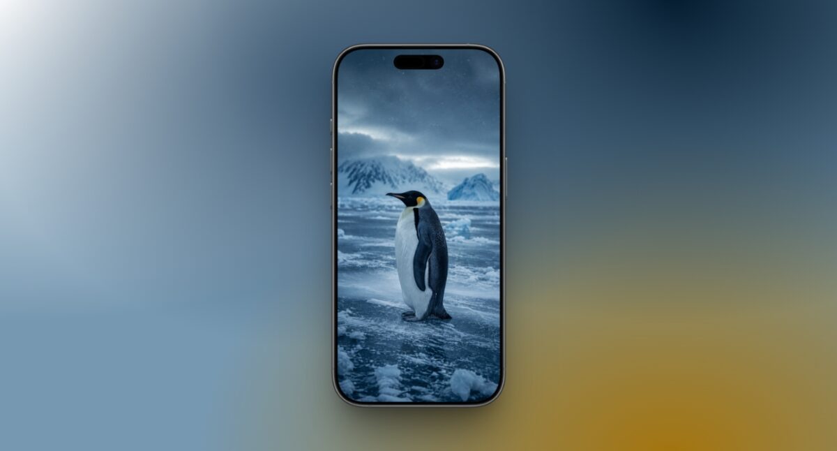 Emperor penguin in the blue hour
