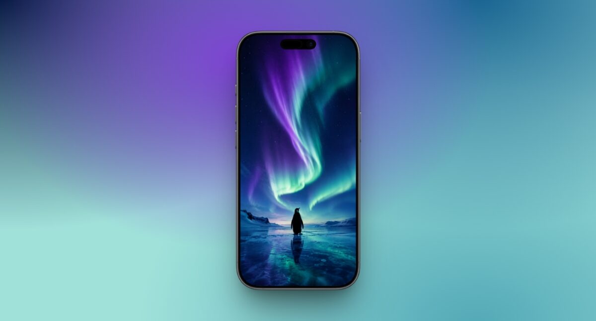 Penguin beneath the Aurora lights