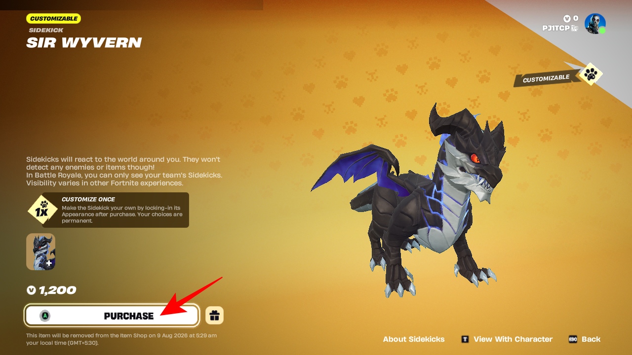Purchase sir wyvern sidekick