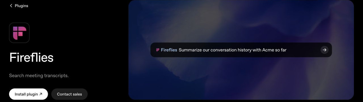 Fireflies plugin page showing a prompt to summarize a conversation history