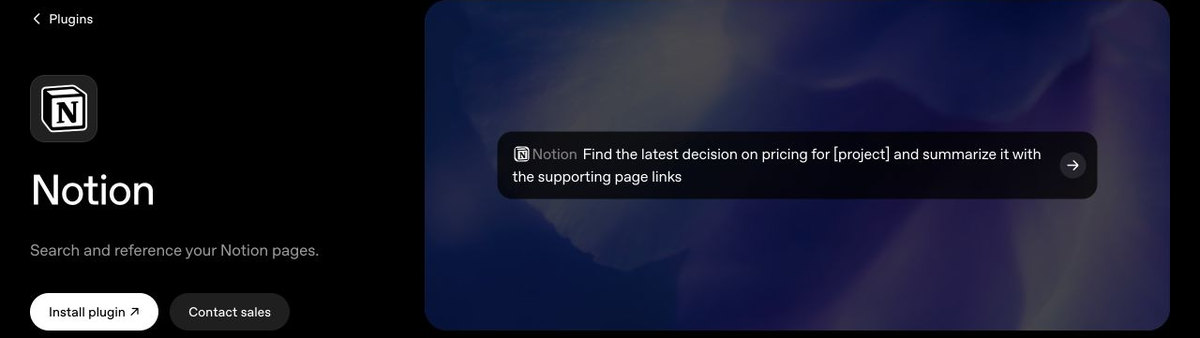 Notion plugin page showing a prompt to find a pricing decision