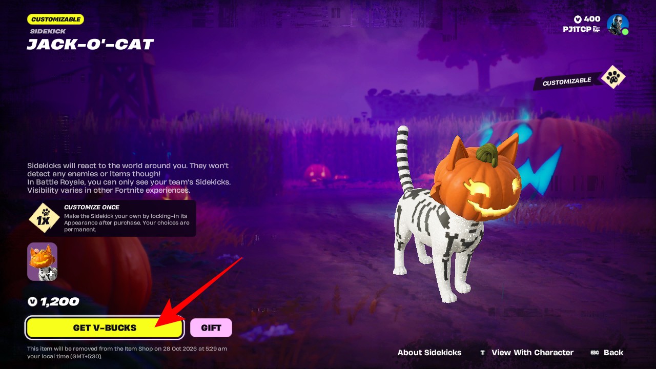 Jack-O'-Cat sidekick in Fortnite: How to get it and rewards Purchase Jack-O-Cat Fortnite